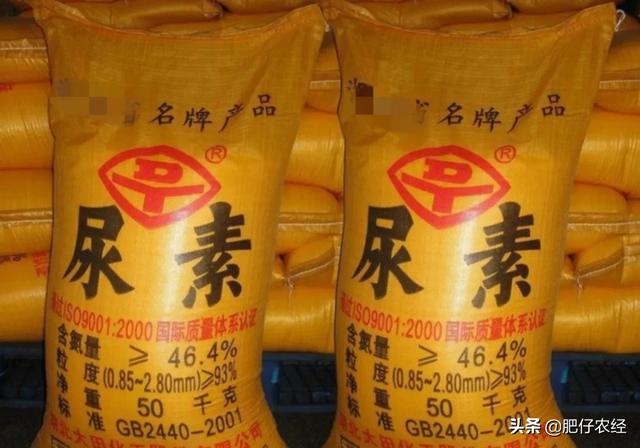 尿素漲價(jià)，農(nóng)民用不起，農(nóng)資店不賺錢，尿素有替代品嗎？