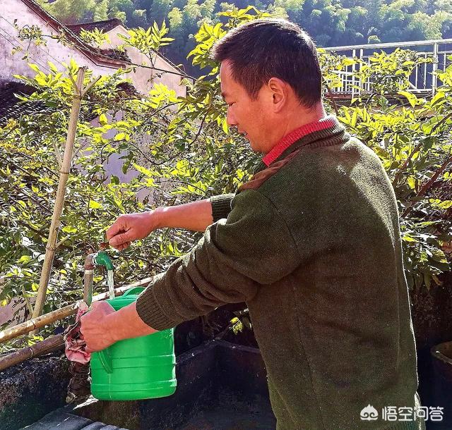 蘭花混合噴施磷酸二氫鉀和尿素的濃度是多少合適？