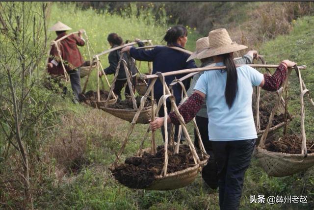 什么是有機肥，有機肥和化肥有什么區別，國家為什么鼓勵有機肥？