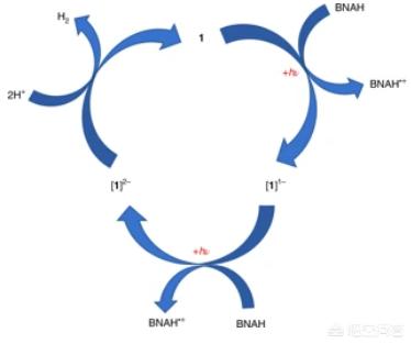 科學家如何利用全新光催化分子更有效地產生氫？