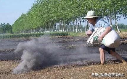 草木灰與購買的有機肥混拌用于底肥(基肥)使用，怎么樣？